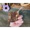 This image shows the back of a piece of birch bark used to make the gift tag. The bark has a natural piece of twine tied to the corner. 